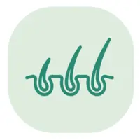 Icone Terapia Capilar de Crescimento - Sameiro Braga